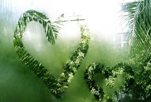 The Canyon We Must Cross: From Geology to Groundbreaking Tech